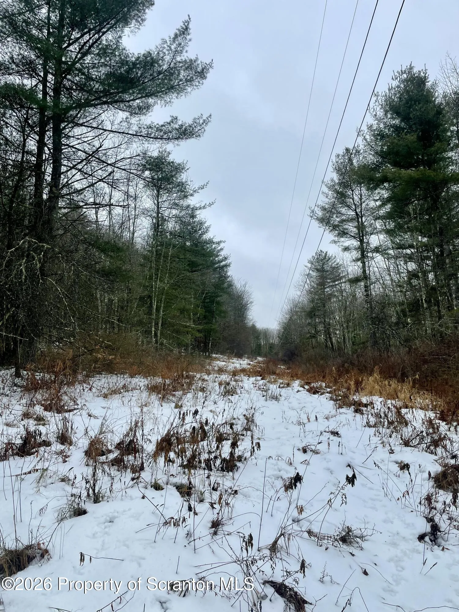 Land For Sale 33 Arrowhead Road, Little Meadows, Pennsylvania 18830