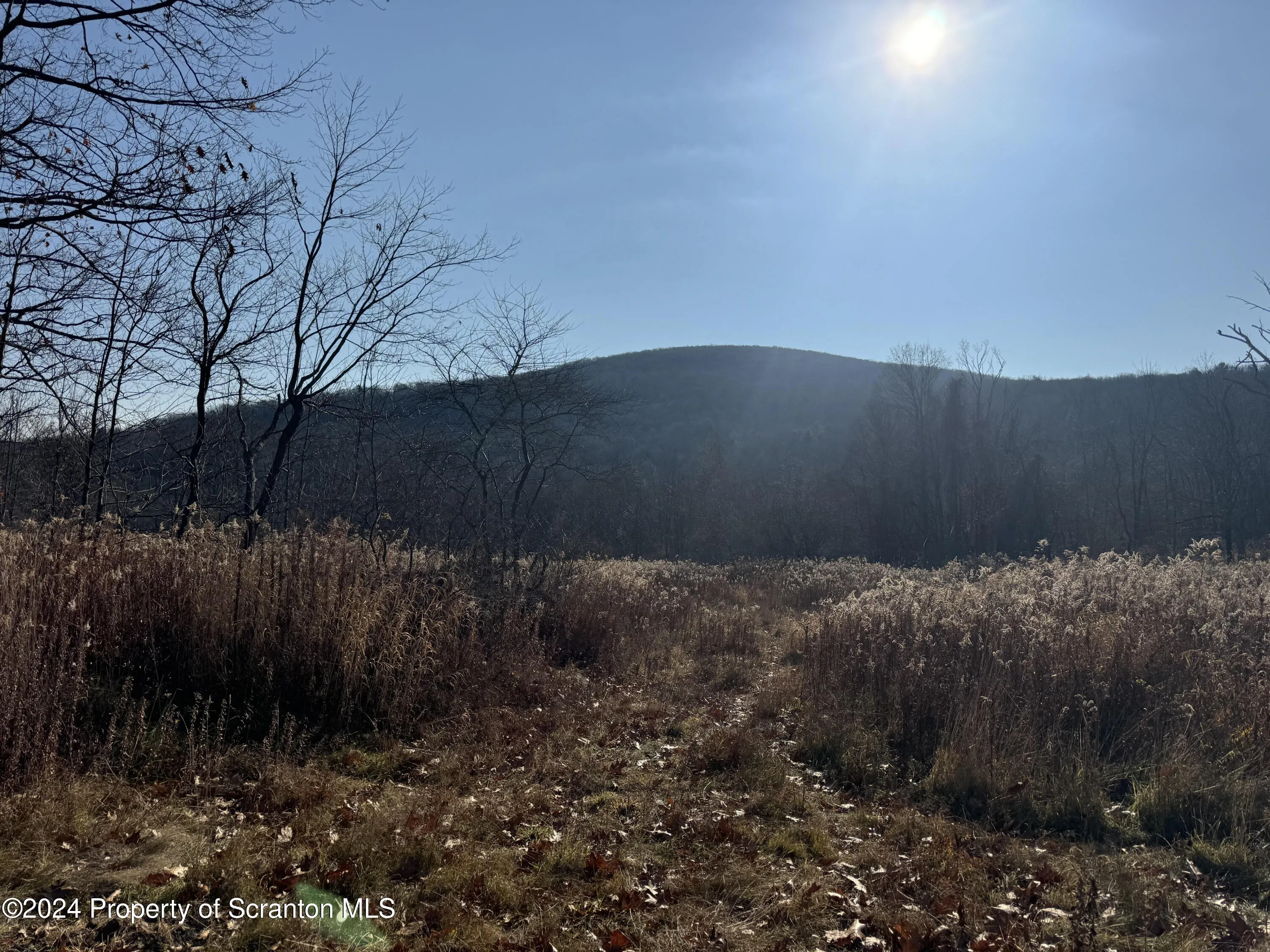 Land For Sale Summit Lake Road, Clarks Summit, Pennsylvania 18411