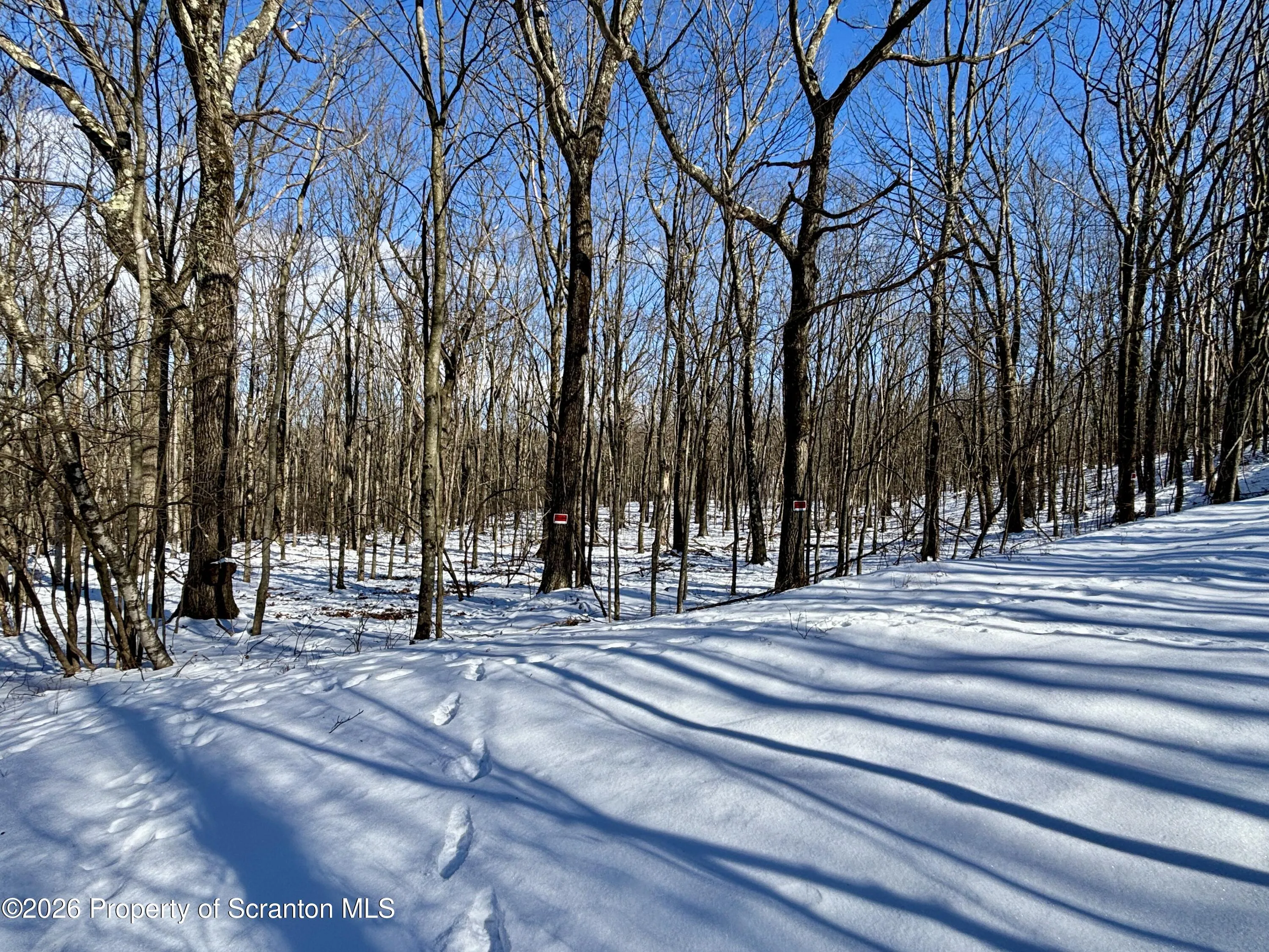 Land For Sale Forest Lane, Archbald, Pennsylvania 18403