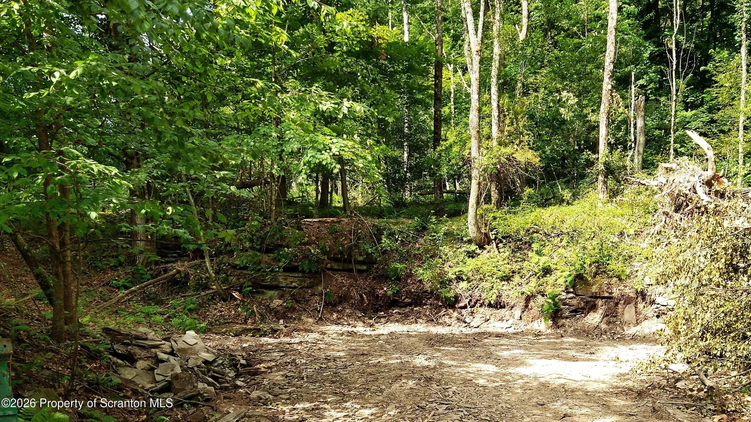 Land For Sale 1013 Stearns Road, New Milford, Pennsylvania 18834