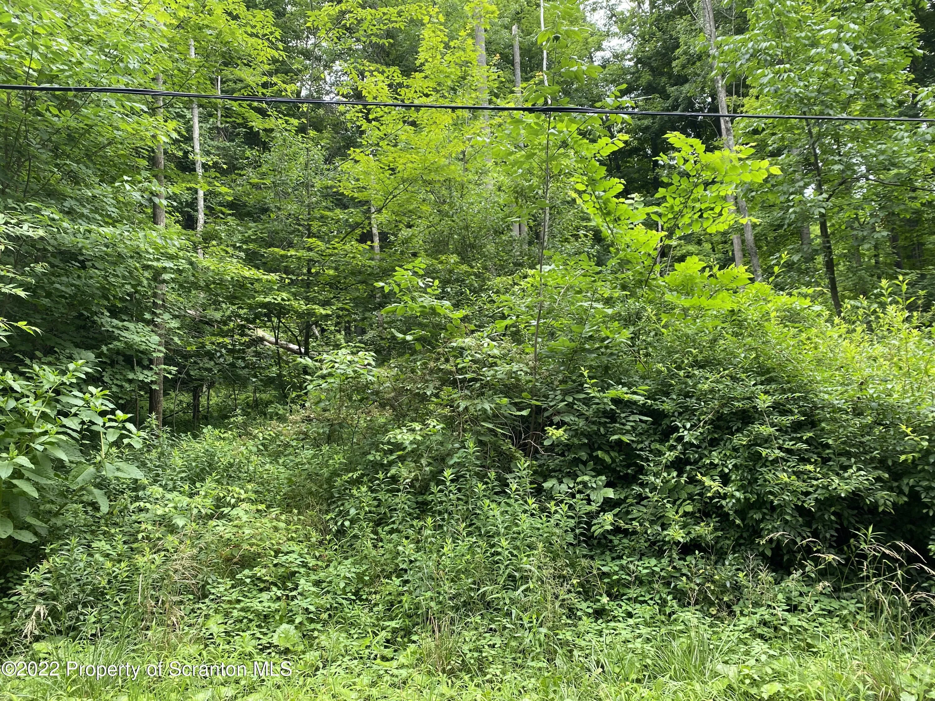 Land For Sale Griffin Pond Road, South Abington Twp, Pennsylvania 18411