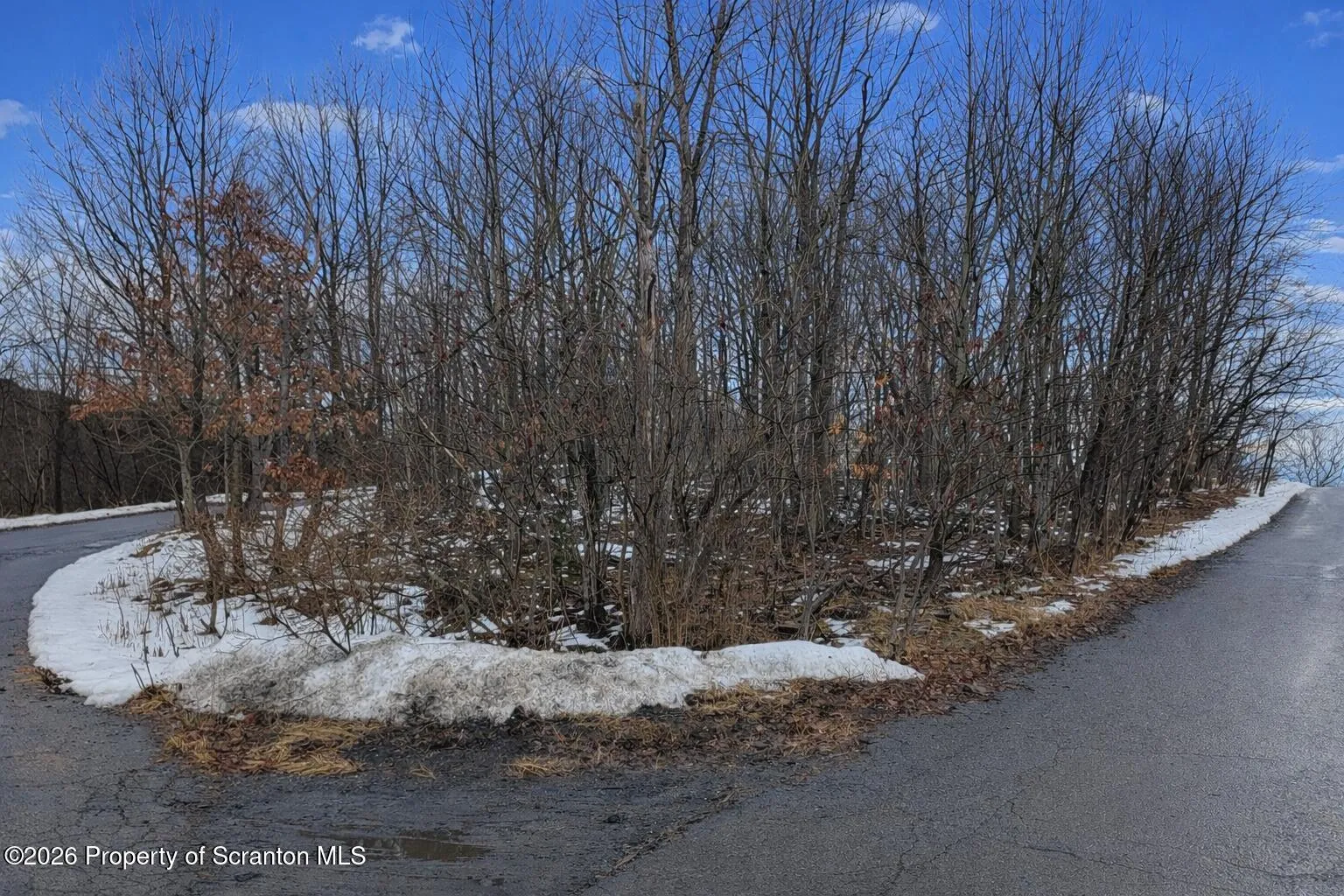 Land For Sale Winton Street, Dunmore, Pennsylvania 18512