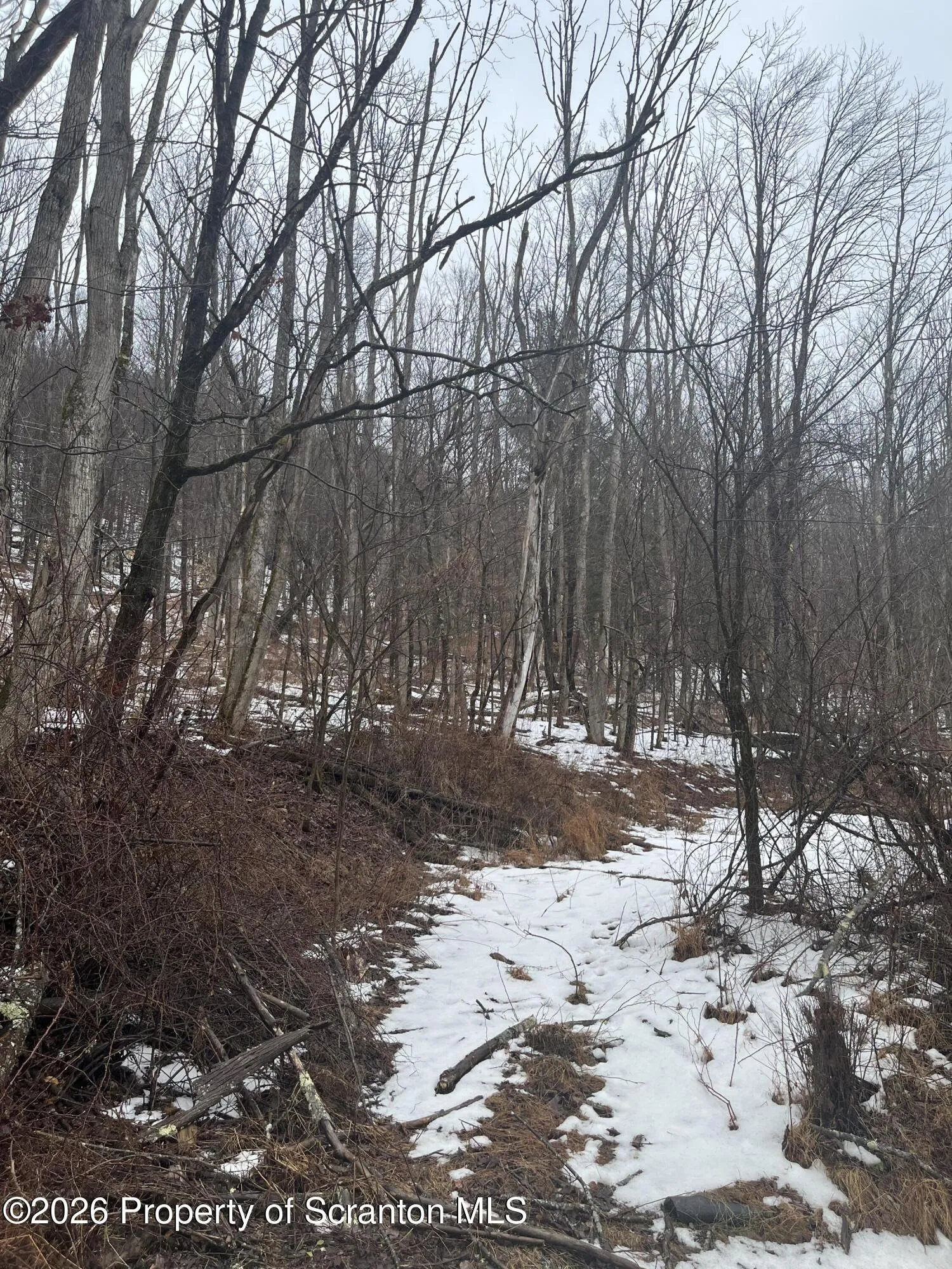 Land For Sale 922 Hawk Road, Montrose, Pennsylvania 18801