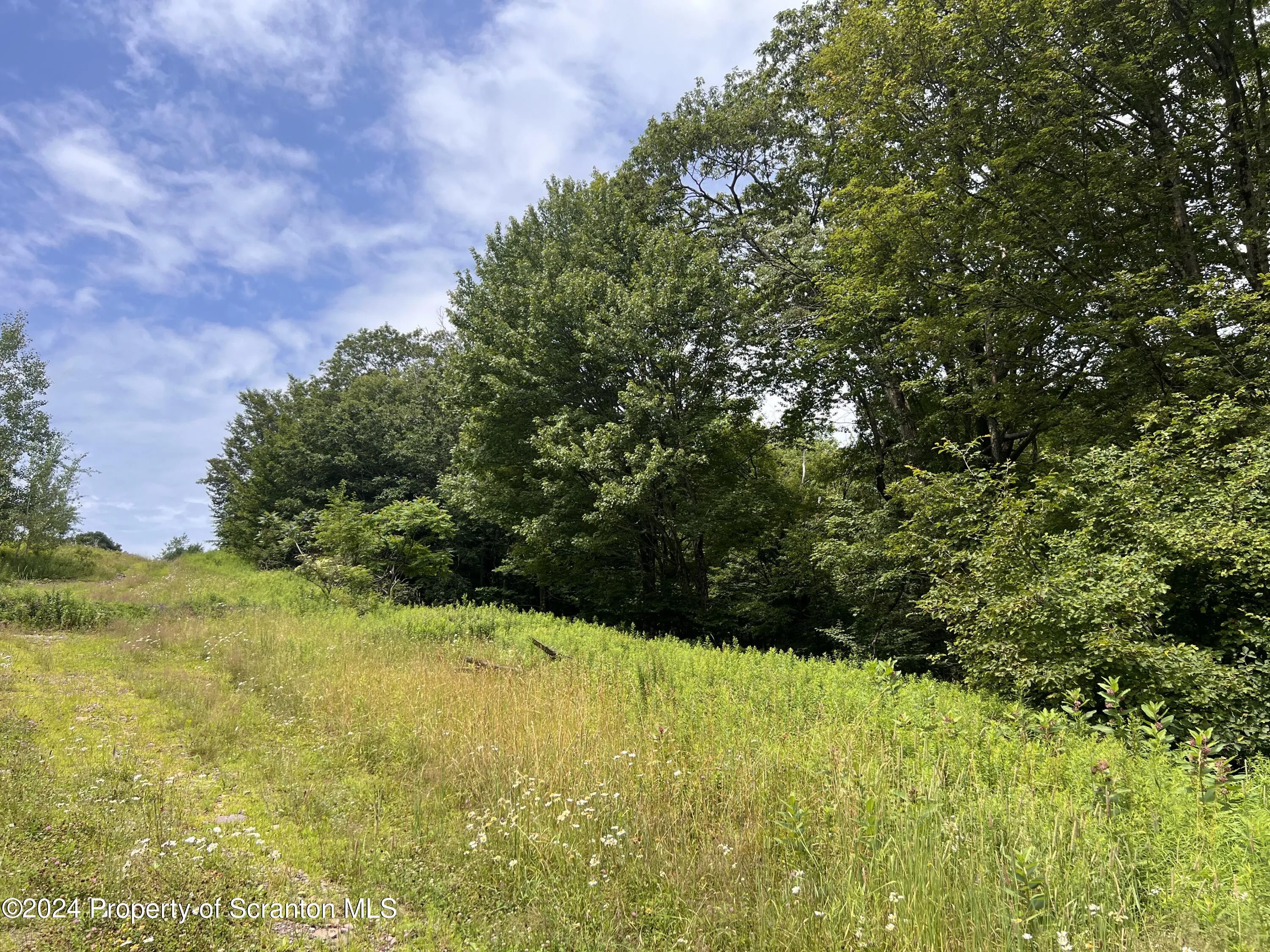 Land For Sale Scenic View Drive, Union Dale, Pennsylvania 18470