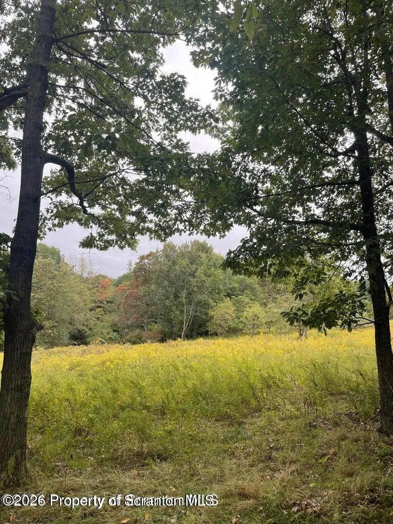 Land For Sale Sekol North L 2 Avenue, Ransom, Pennsylvania 18504