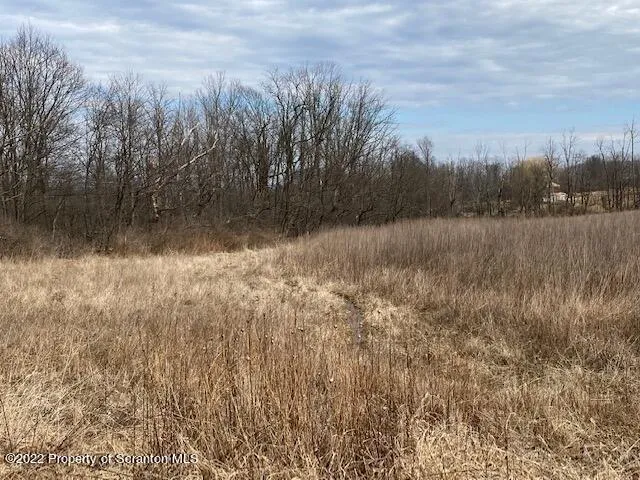Land For Sale Lot 3 Reynolds Road, North Abington Twp, Pennsylvania 18414