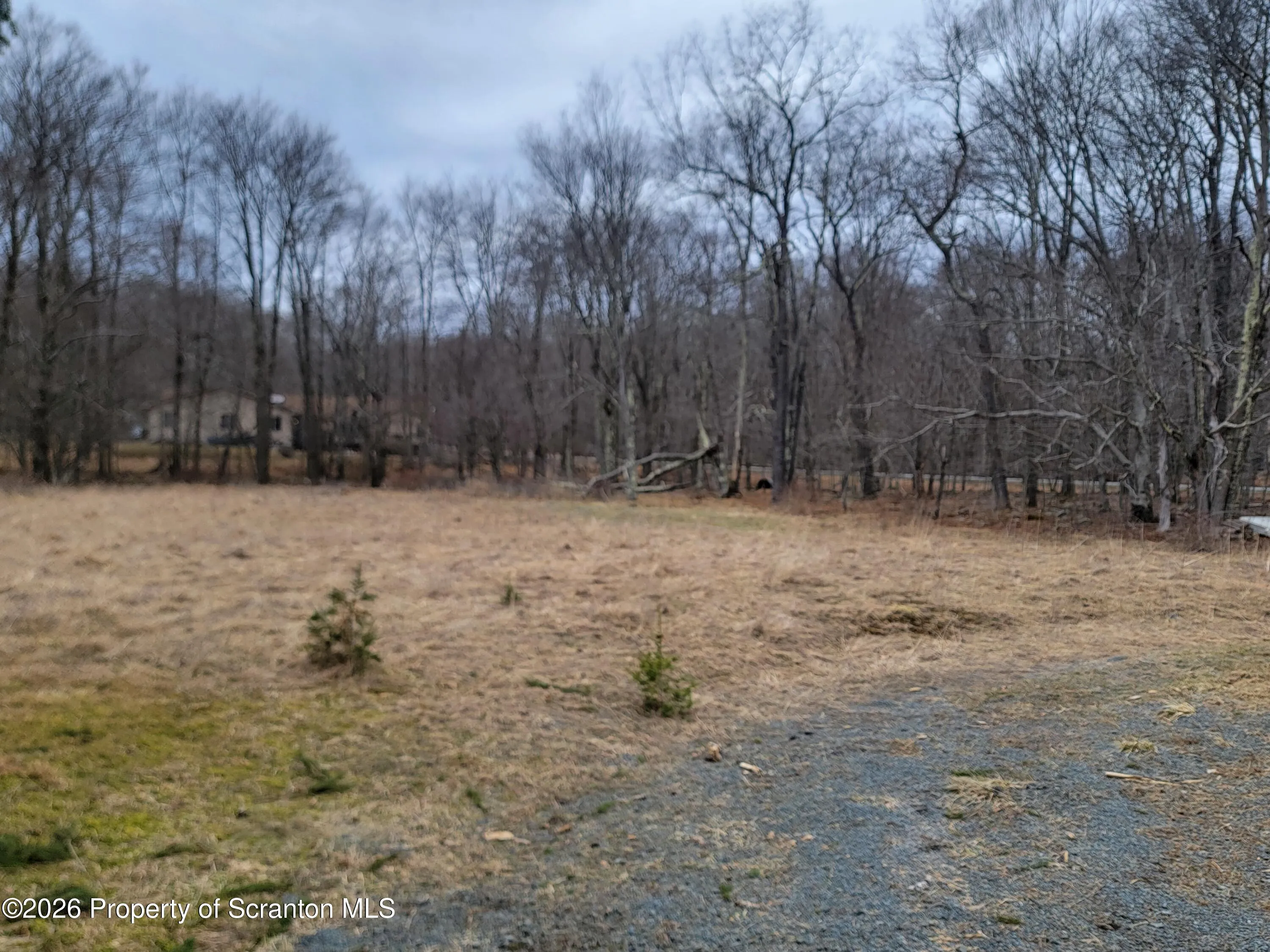 Land For Sale 59 Coleman Court, Clifton Twp, Pennsylvania 18424