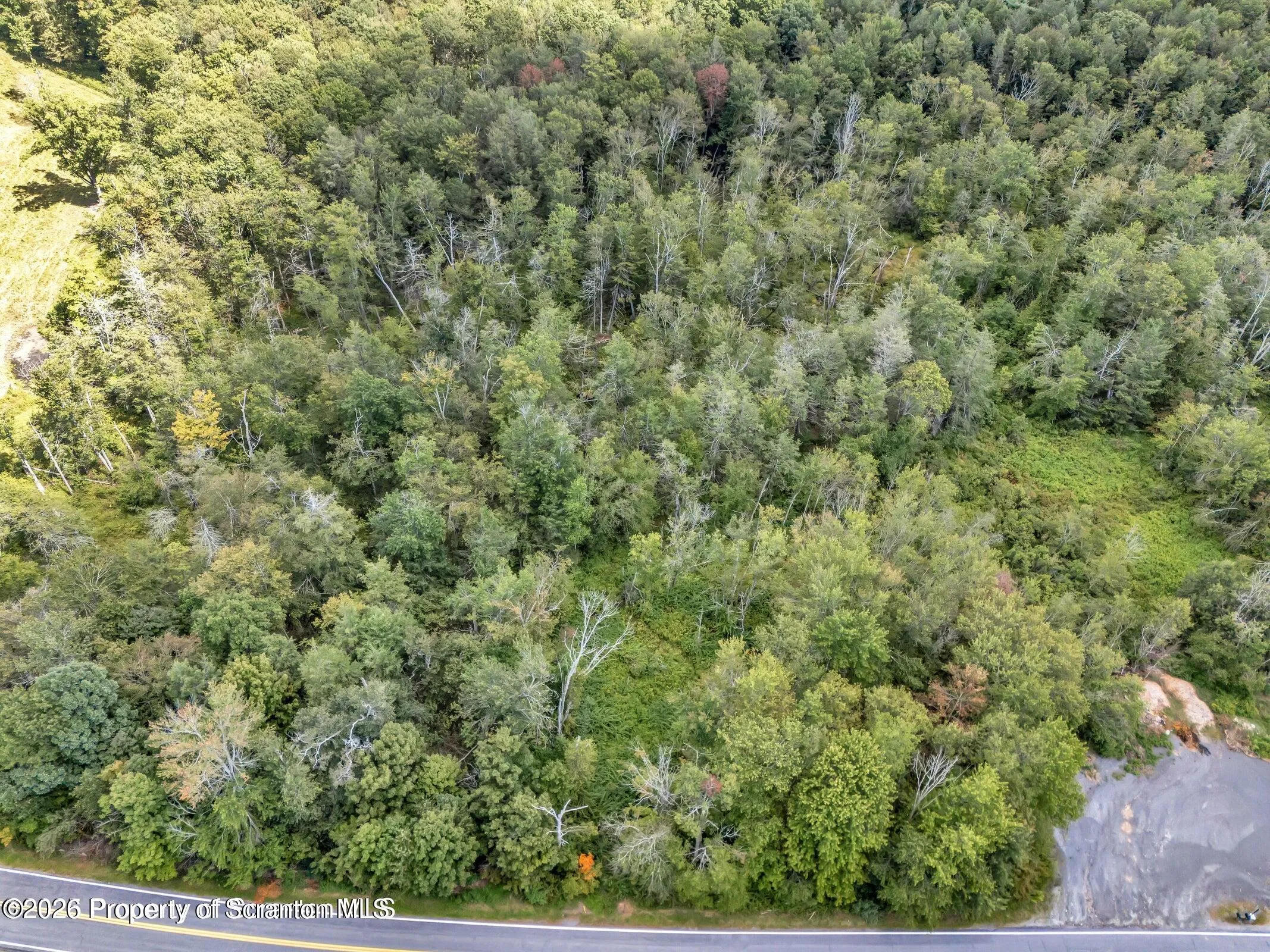 Land For Sale Wesser Road, Spring Brook Twp, Pennsylvania 18444