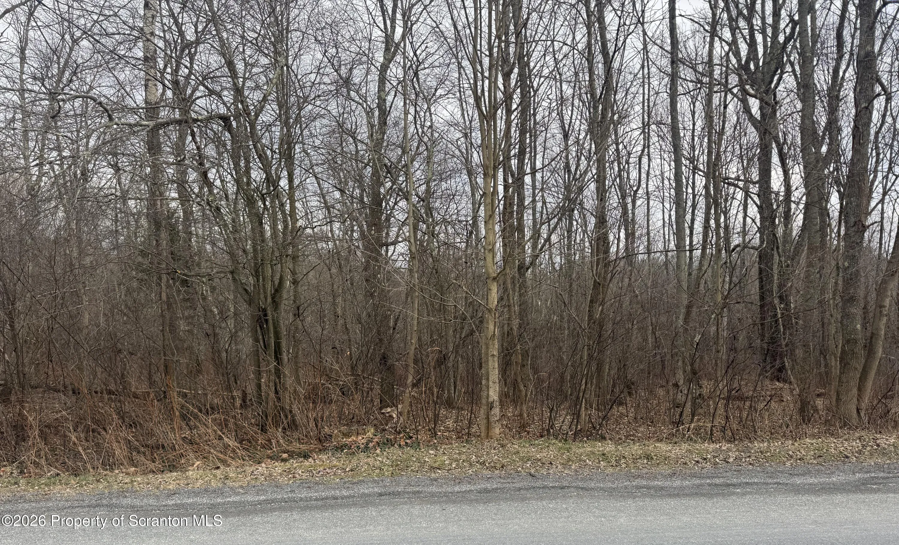 Land For Sale Freytown Road, Covington Twp, Pennsylvania 18424