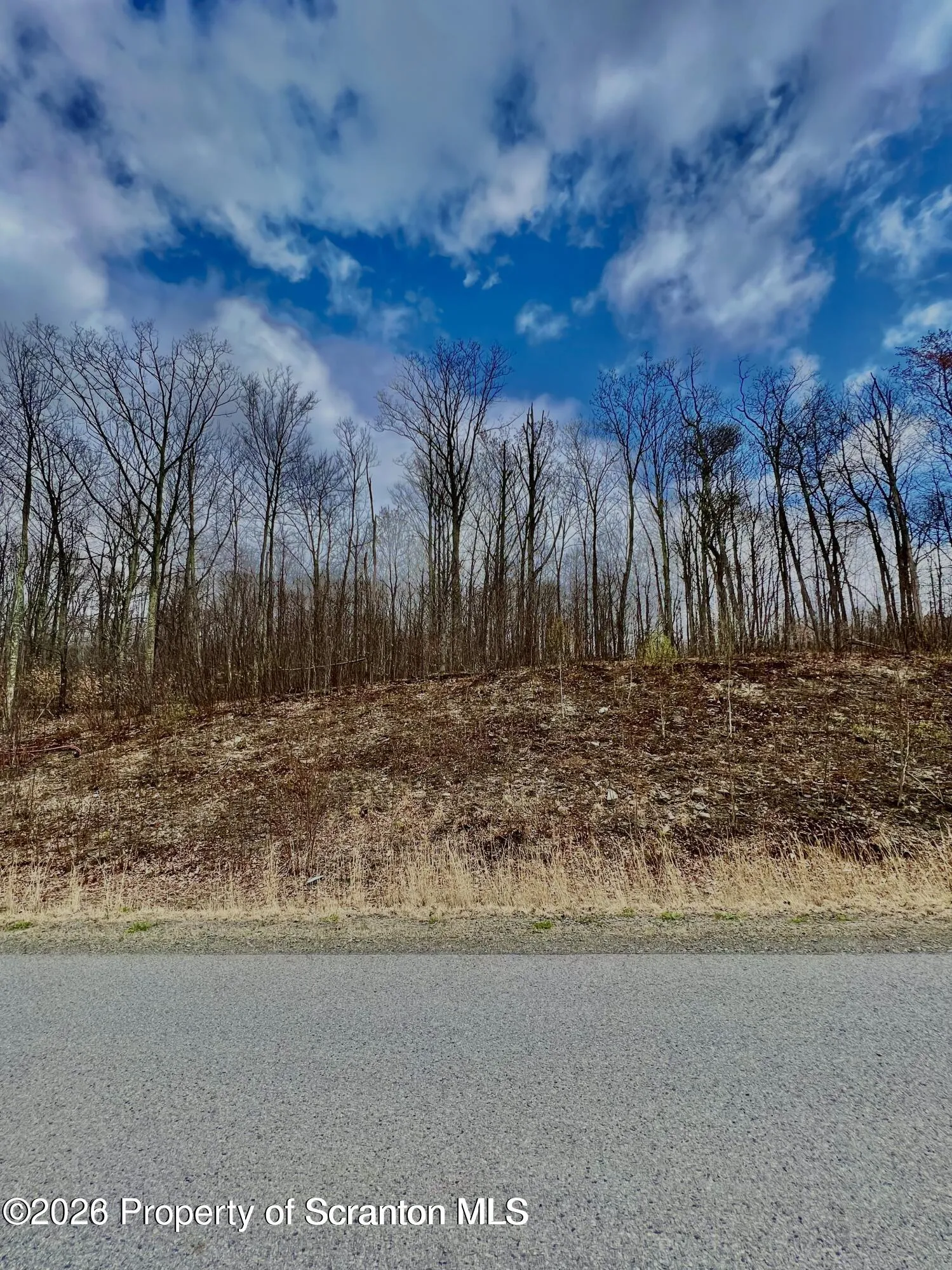 Land For Sale L 112 Summit Woods Road, Roaring Brook Twp, Pennsylvania 18444