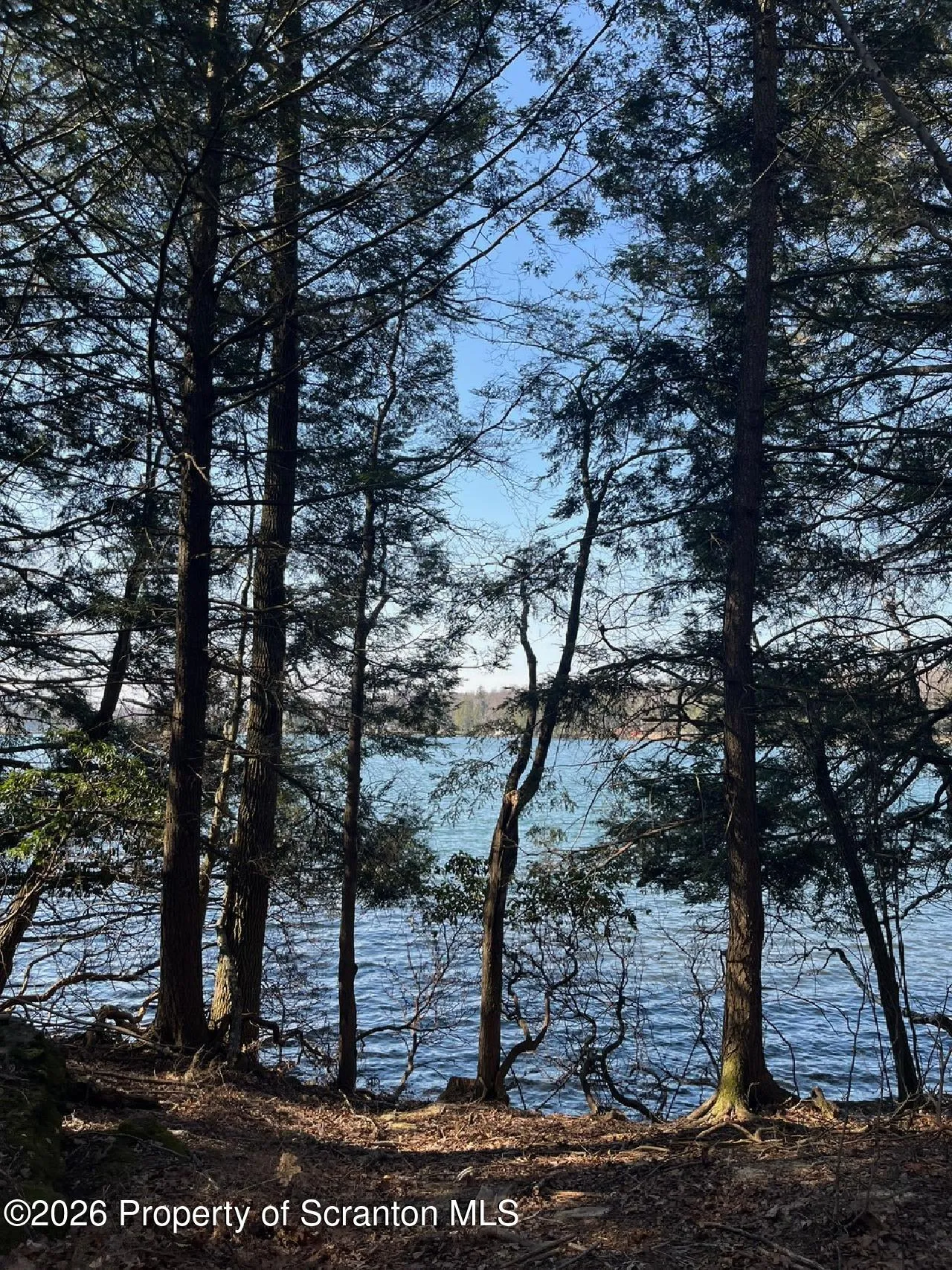 Land For Sale Coxton Woods Lane, Thompson, Pennsylvania 18465
