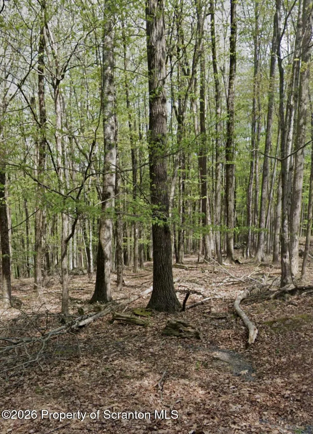 Land For Sale Tiffany Road, Hawley, Pennsylvania 18428