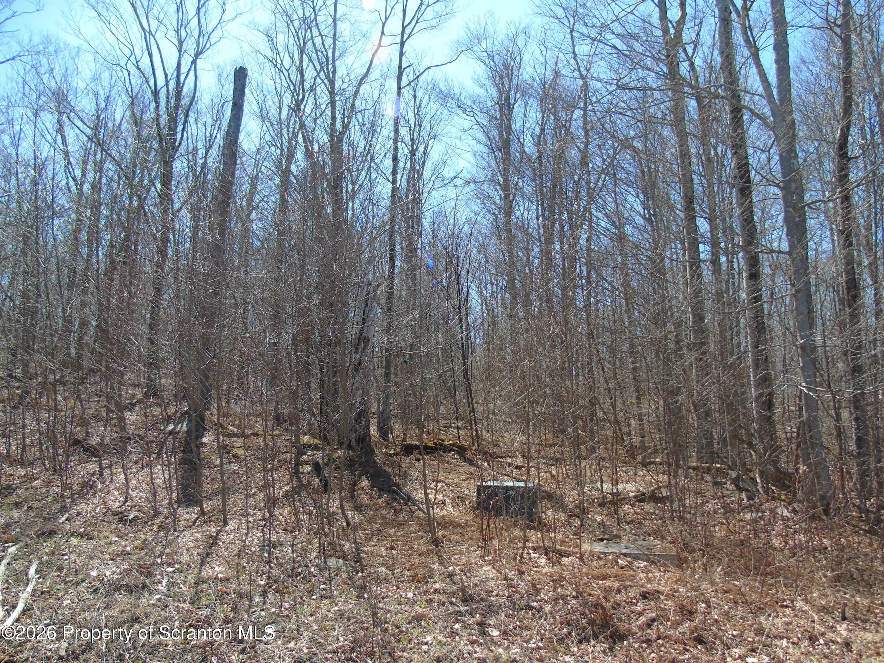 Land For Sale 145 Summit Woods Road, Roaring Brook Twp, Pennsylvania 18444