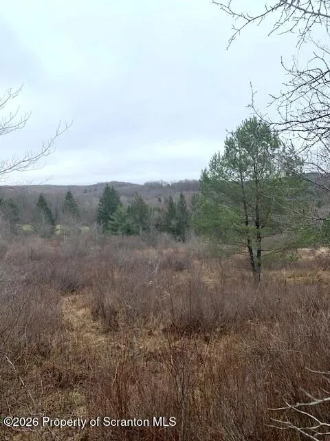Land For Sale Jackson Valley Road, Little Meadows, Pennsylvania 18830