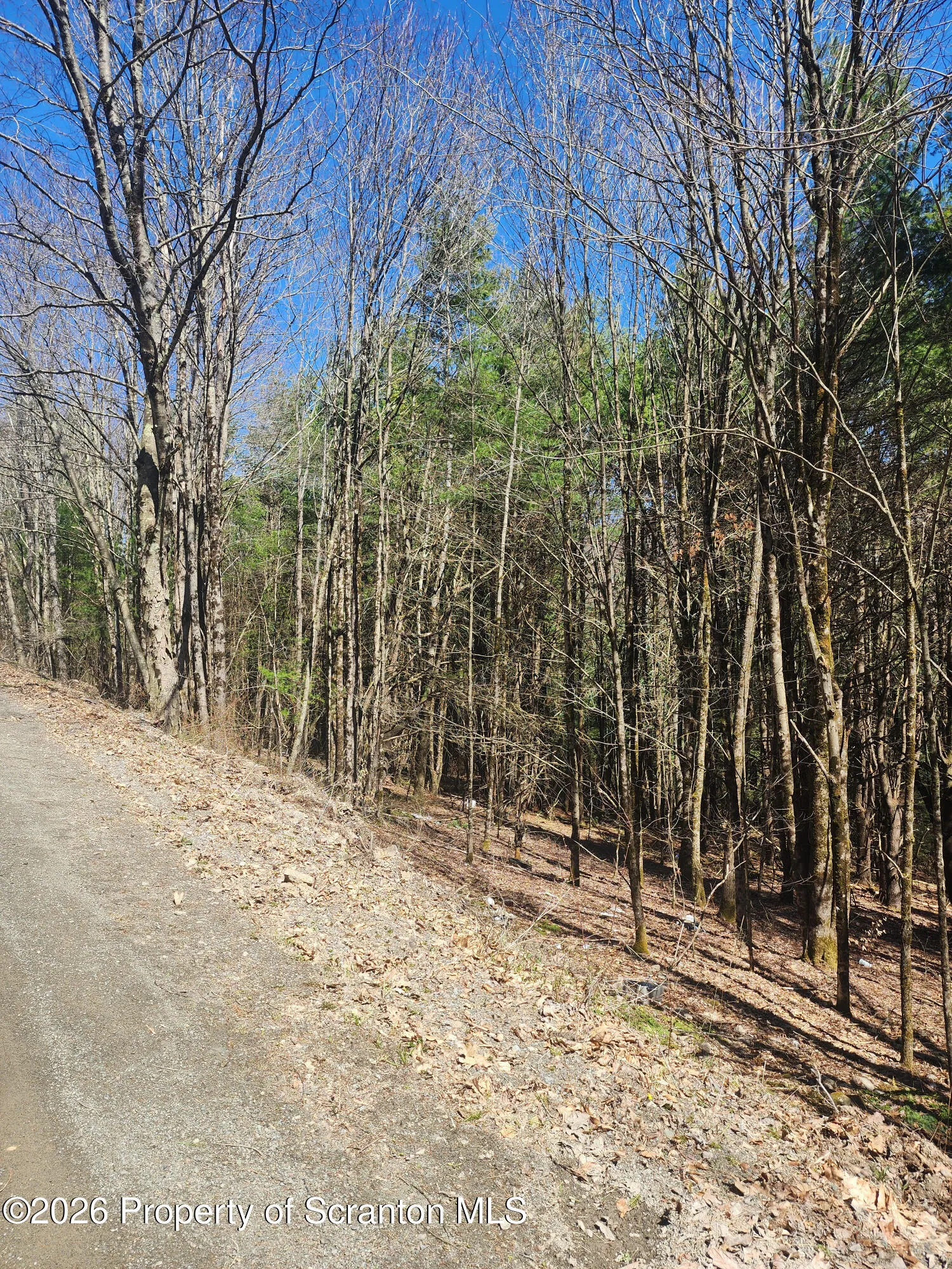 Land For Sale 114 Tarbell Hill Road, Deposit, New York 13745