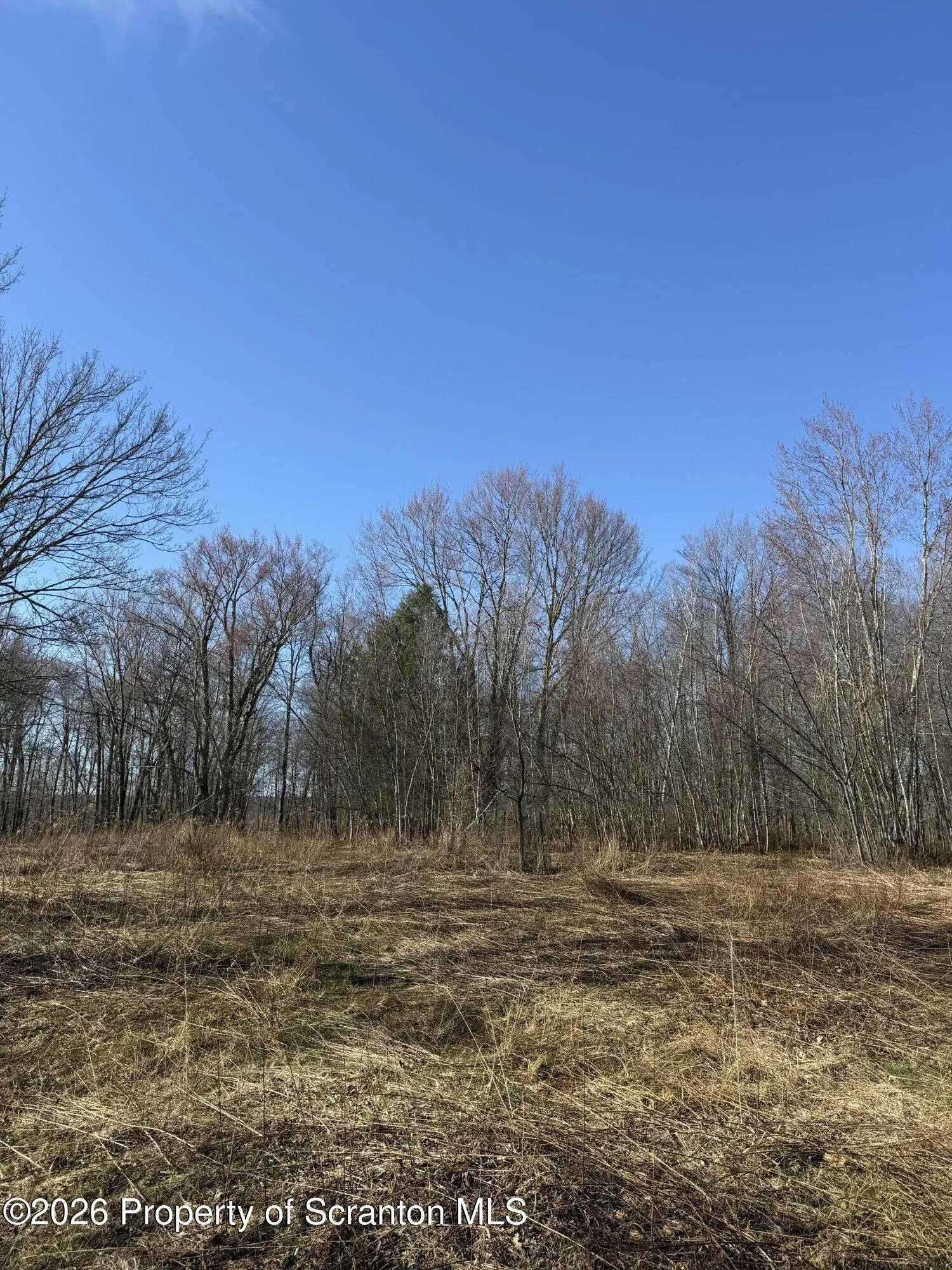 Land For Sale 3 Ash Gap Road, Spring Brook Twp, Pennsylvania 18444
