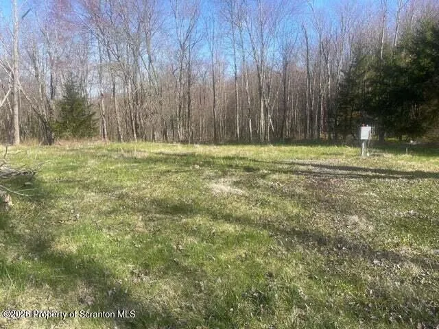Land For Sale 173 Pierce Road, Greenfield Twp, Pennsylvania 18407