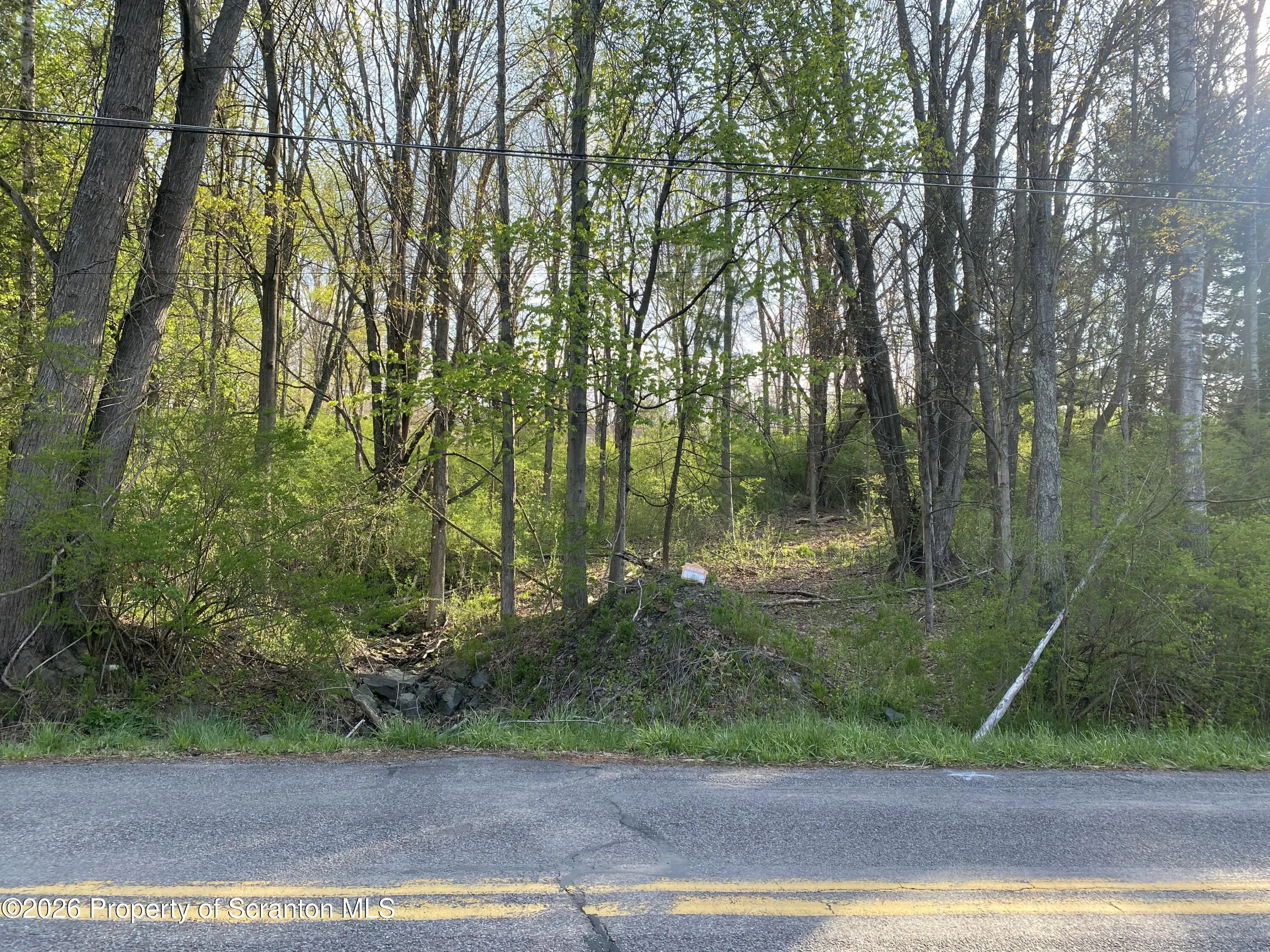 Land For Sale Ackerly Rd Sr 4010, Glenburn Twp, Pennsylvania 18411
