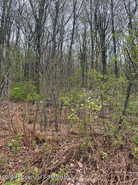 Land For Sale 247 Wildcat Road Road, Olyphant, Pennsylvania 18447