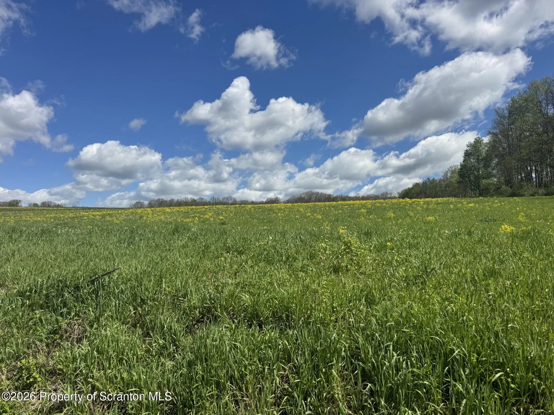 Land For Sale Quarry Hill Drive, Falls Twp, Pennsylvania 18038