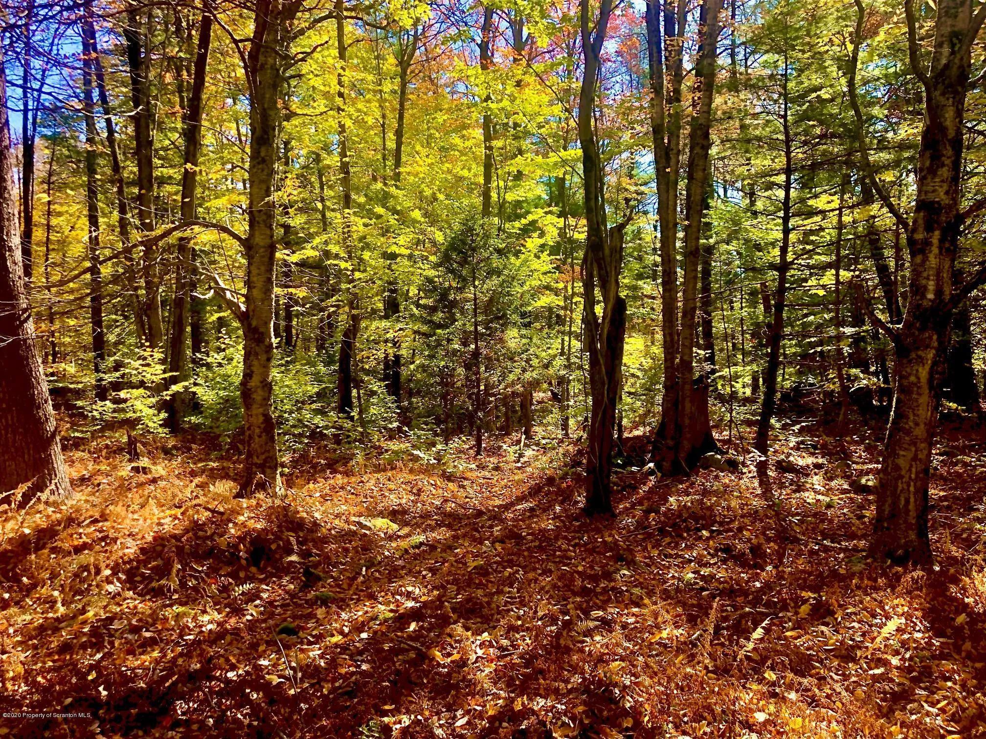 Land For Sale 36 Kimberly Circle, Thornhurst, Pennsylvania 18424
