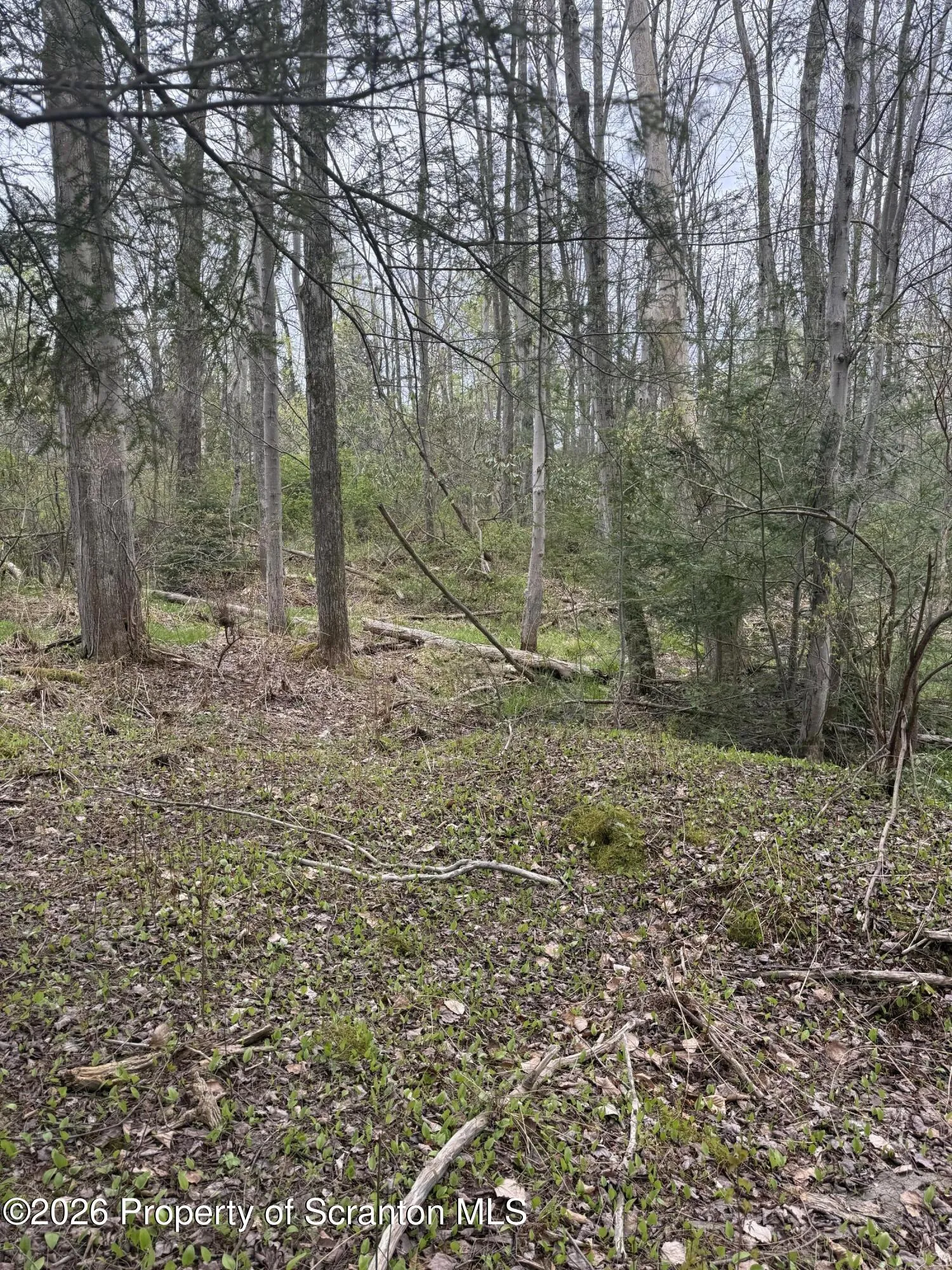 Land For Sale 502 Rear, Covington Twp, Pennsylvania 18444
