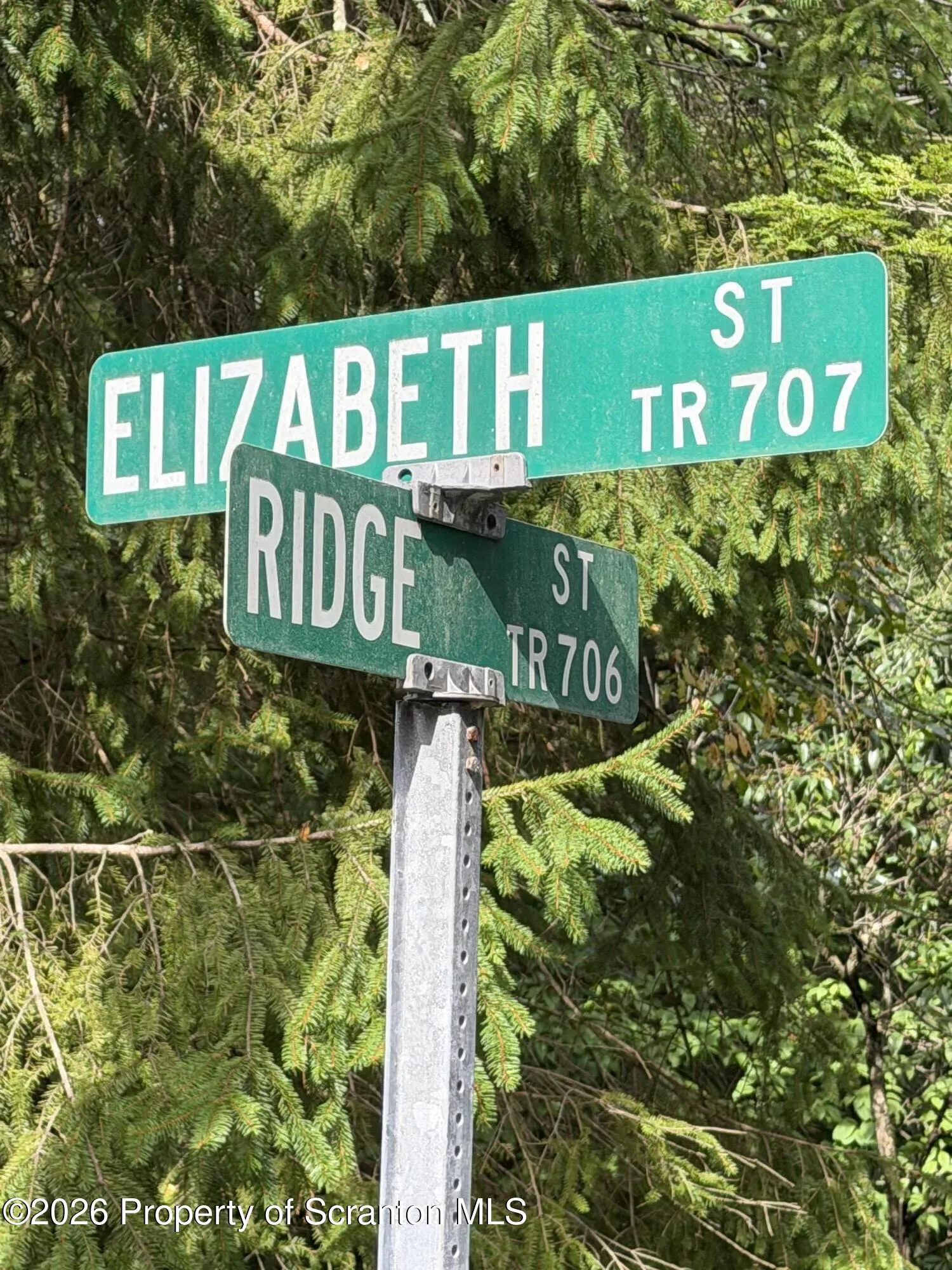 Land For Sale 0 Cornor Of Elizabeth & Ridge Street, Elmhurst, Pennsylvania 18444