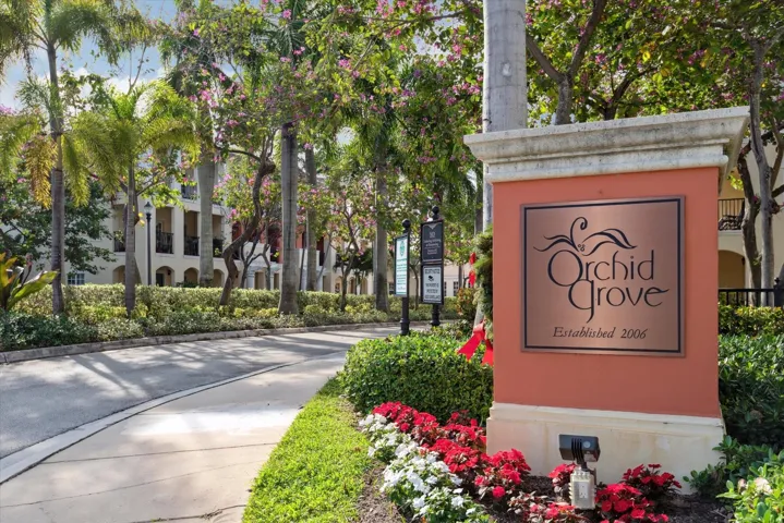 Welcome to Orchid Grove