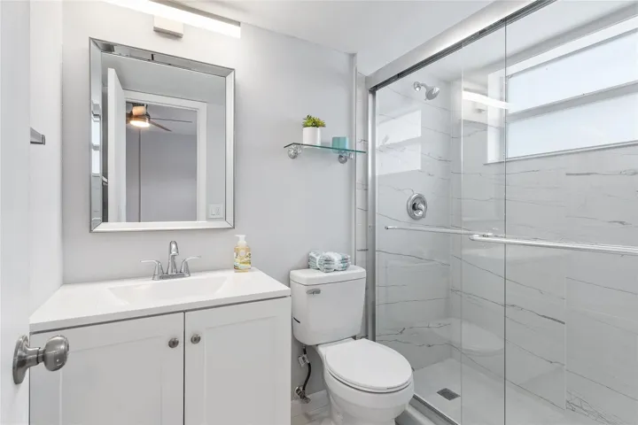New designer step in shower-new toilet and vanity
