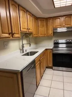 New kitchen sink and faucet