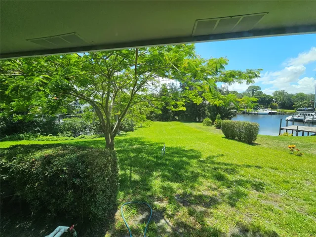View from 2nd Bedroom