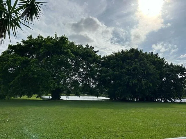 image12