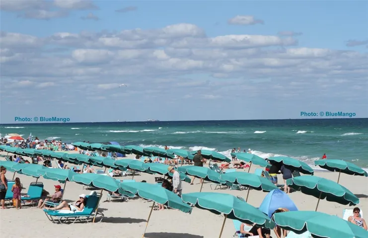 Near Hollywood Beach