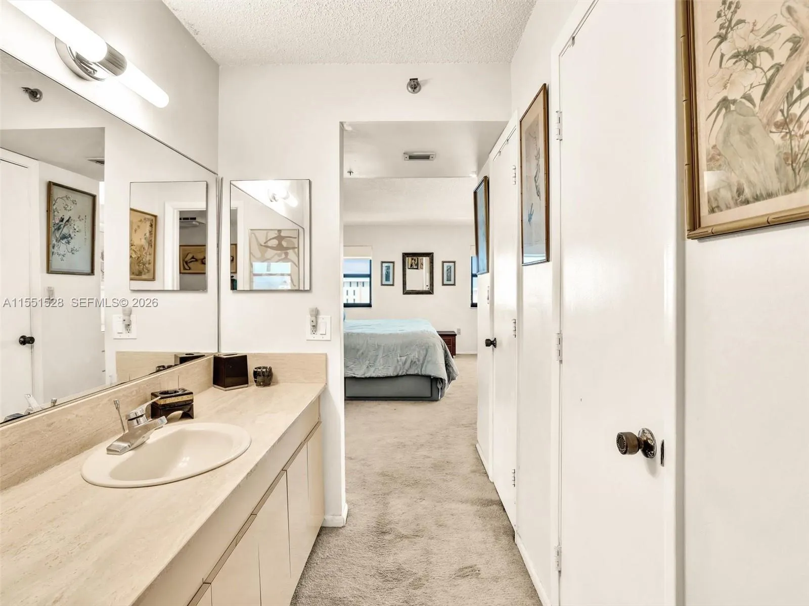 Primary Bath and Dressing area