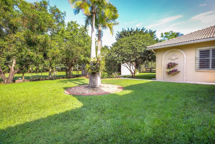 40-Back Yard