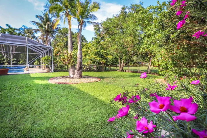 39-Back Yard