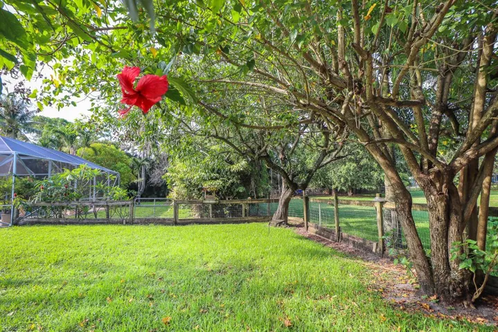 44-Back Yard