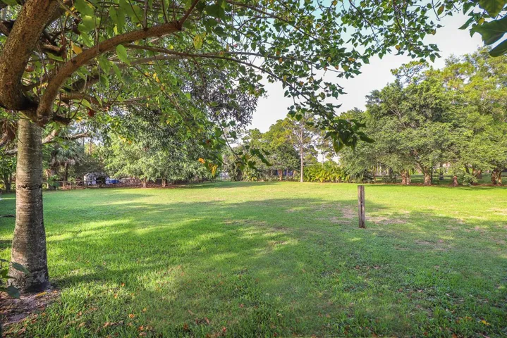 45-Back Yard