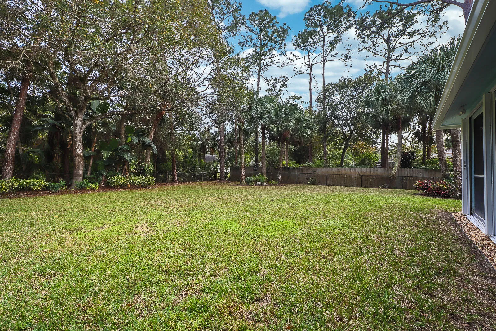 38-Back yard
