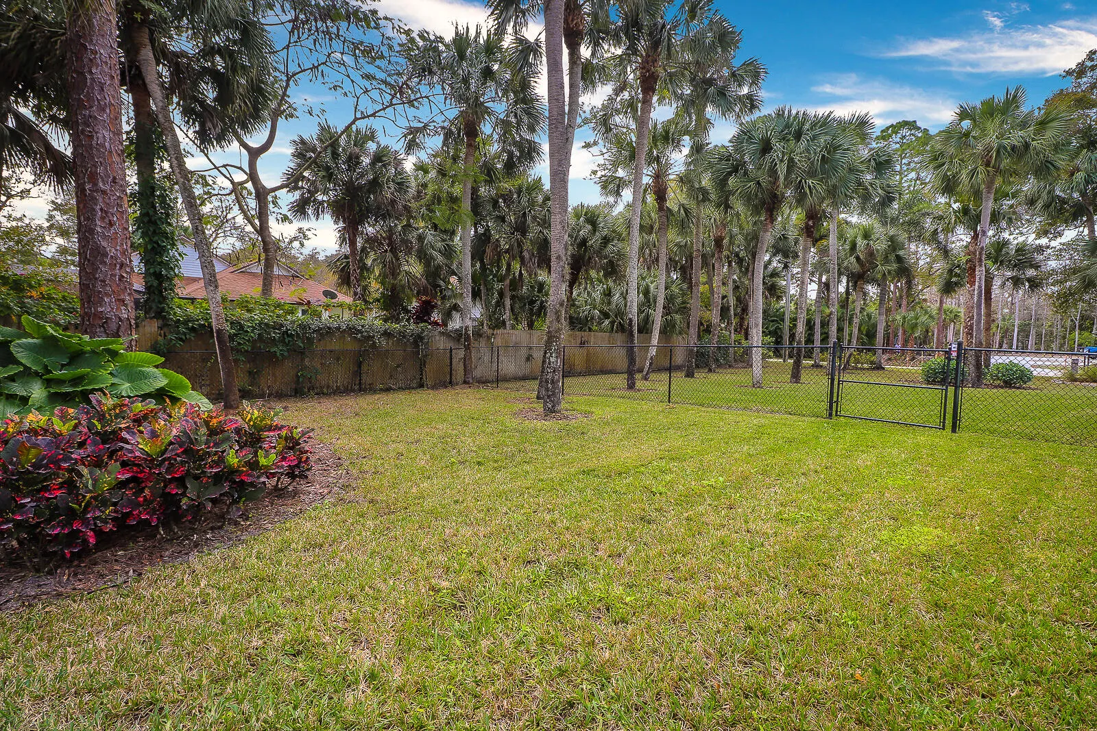39-Side Yard