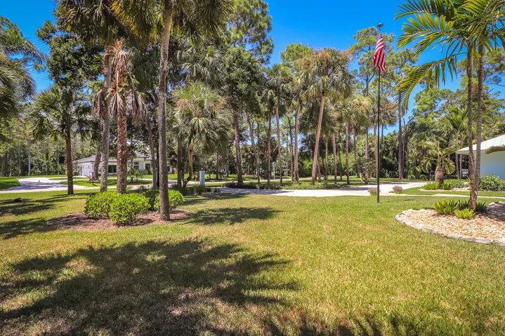41-Front Yard