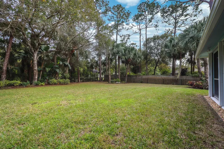 38-Back yard