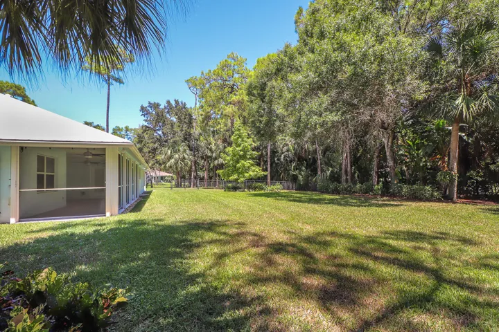 35-Back yard