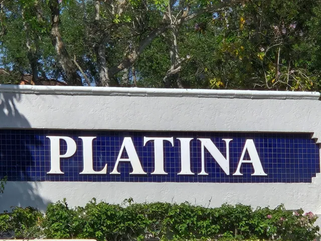 Platina