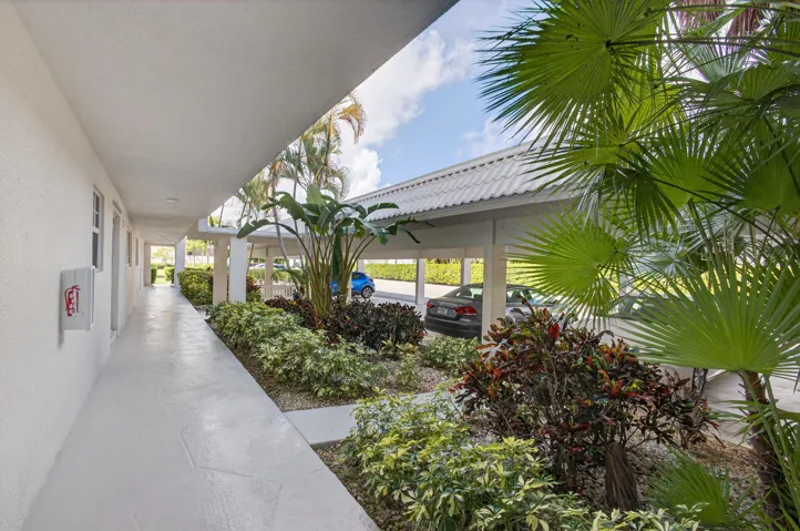 4-web-or-mls-5D1A0861
