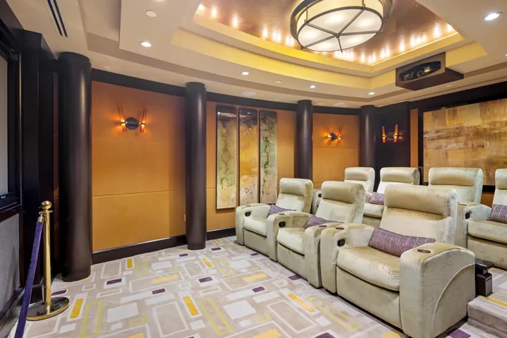Amenities Theater 1