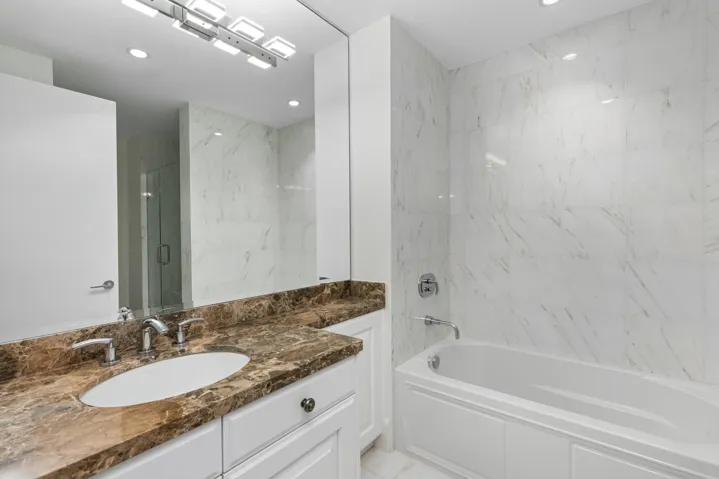 Guest bathroom