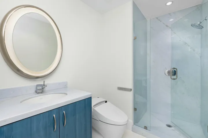 Guest bathroom