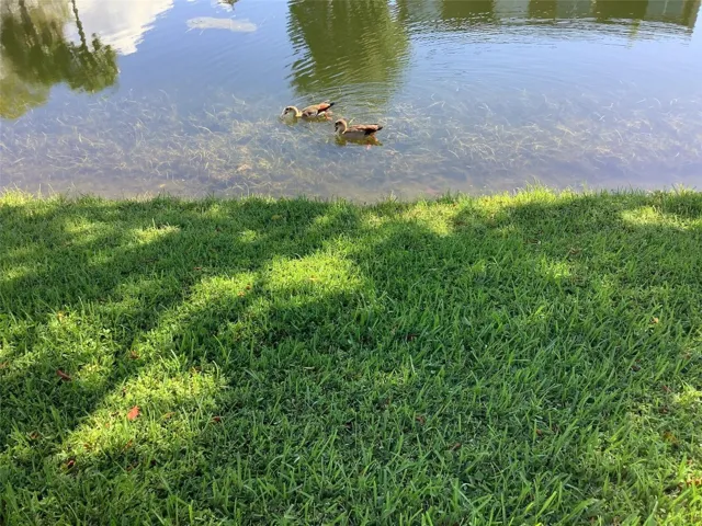 Photo 36