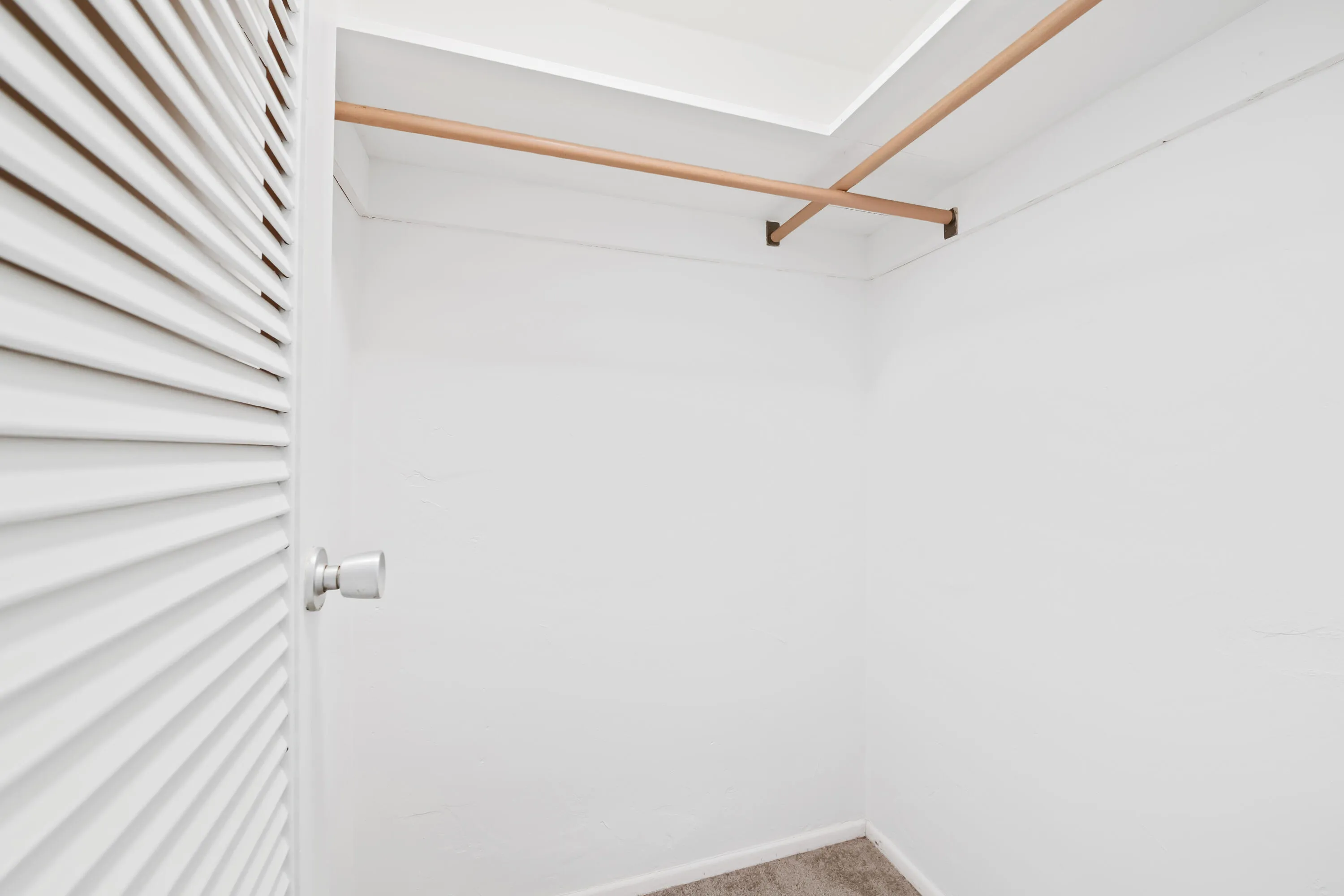 Primary walk-in closet